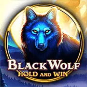 Hoàn trả hàng ngày cho Jackpot